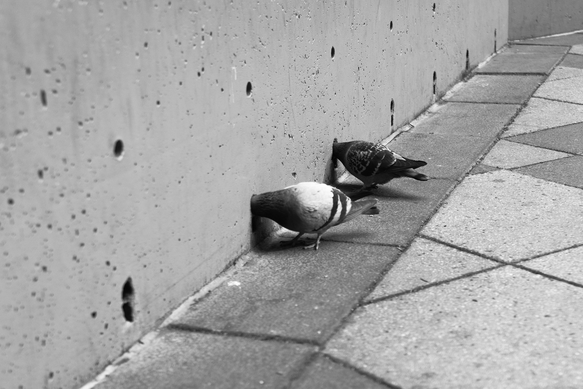 ภาพถ่าย