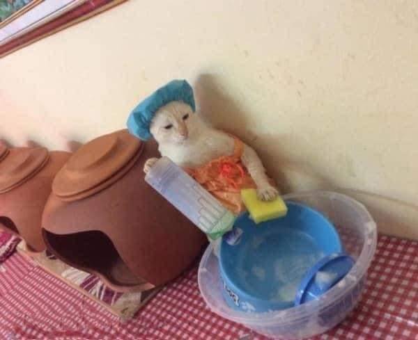 ทำงานบ้าน