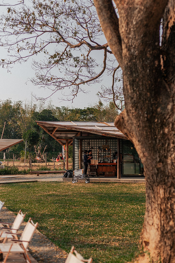 ร้านกาแฟเชียงใหม่ ธรรมชาติ