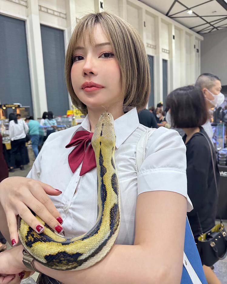 https://s359.kapook.com/pagebuilder/f7ca42ad-c64f-4f4d-902f-67f777290886.jpg