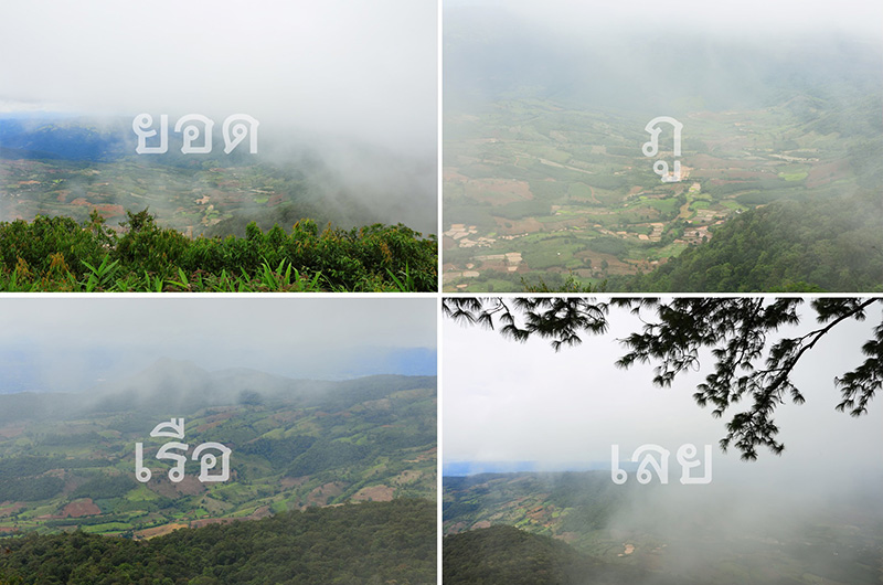 อุทยานแห่งชาติภูเรือ เลย