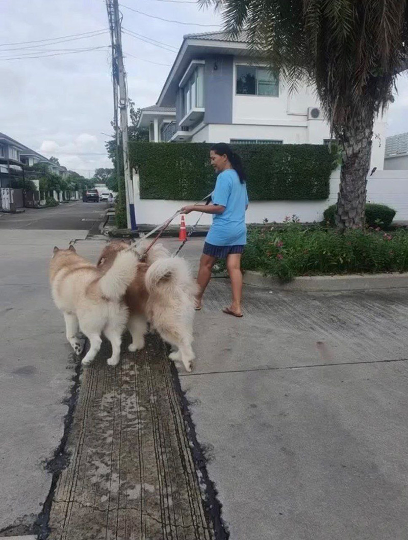 สุนารี พาหมาไปเดินเล่น แต่เจอแซะอวดรวย