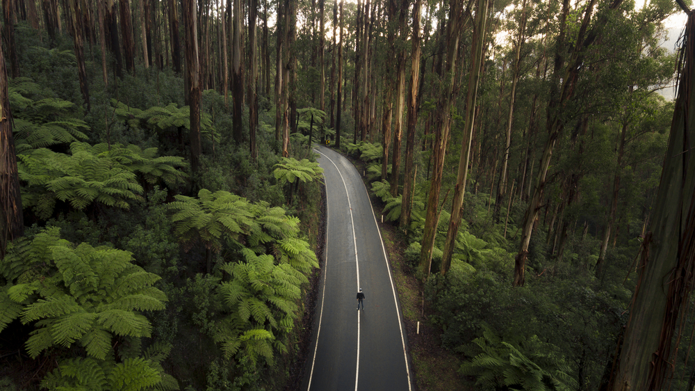 Black Spur