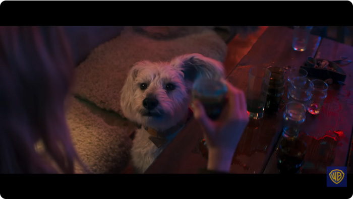 Supergirl หนังซูปเปอร์ฮีโร่ DC Studios หนังใหม่ 2026 ภาพตัวอย่าง