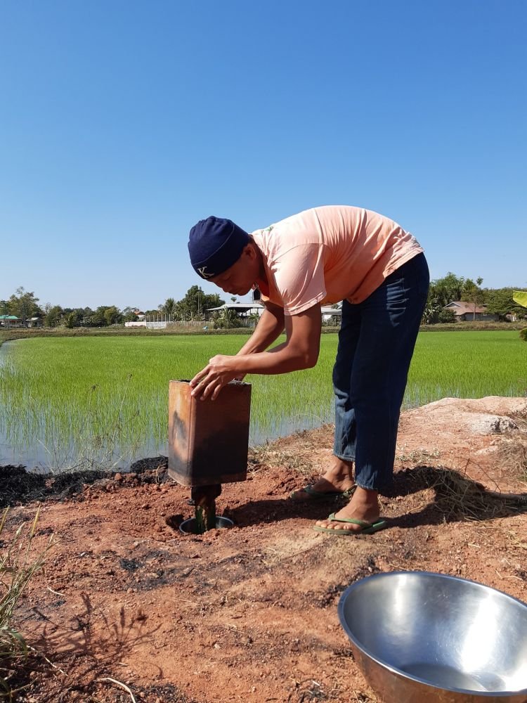 ไก่อบฟาง