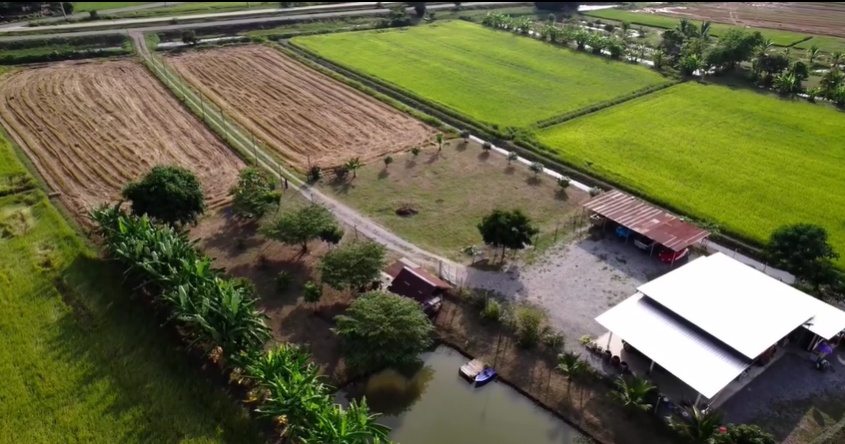 บ้านแดนนี่ ศรีภิญโญ