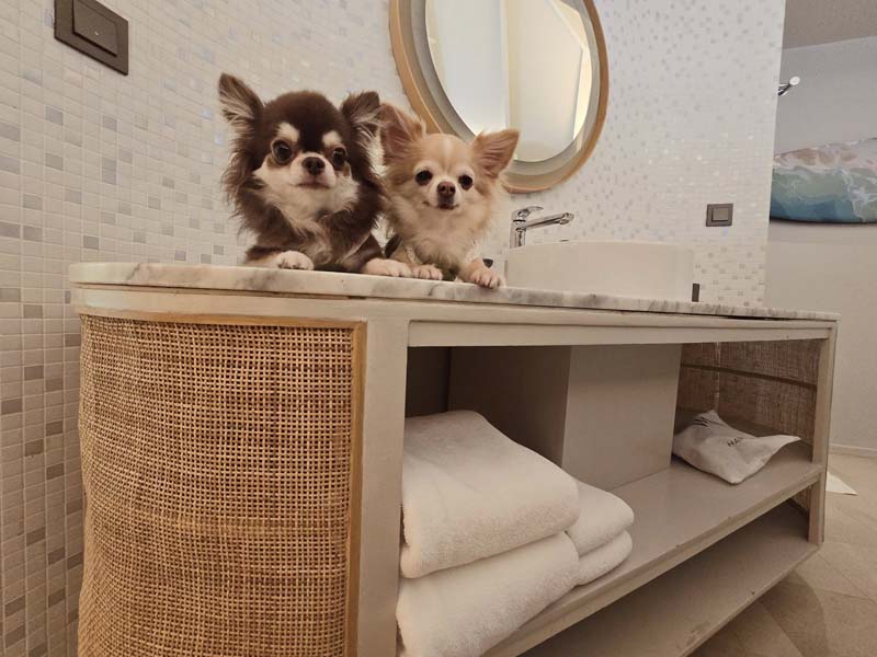 Mercure Rayong Lomtalay โรงแรมระยอง