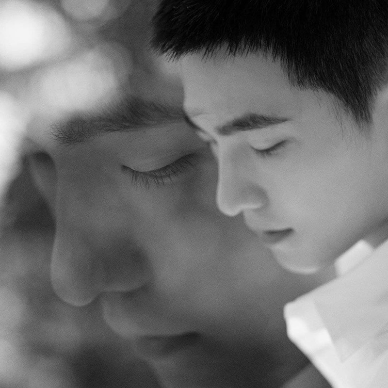 หยางหยาง yangyang