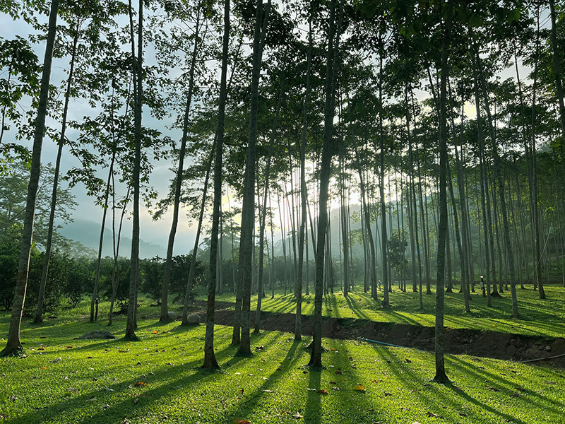 ที่พักแคมป์ใกล้กรุงเทพ