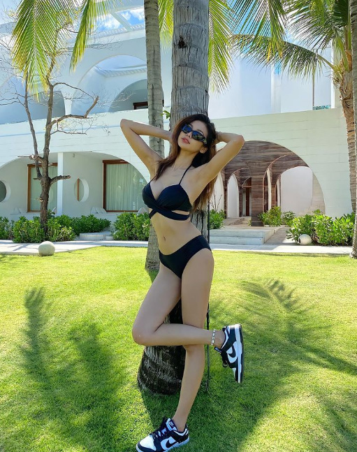 อิงฟ้า วราหะ