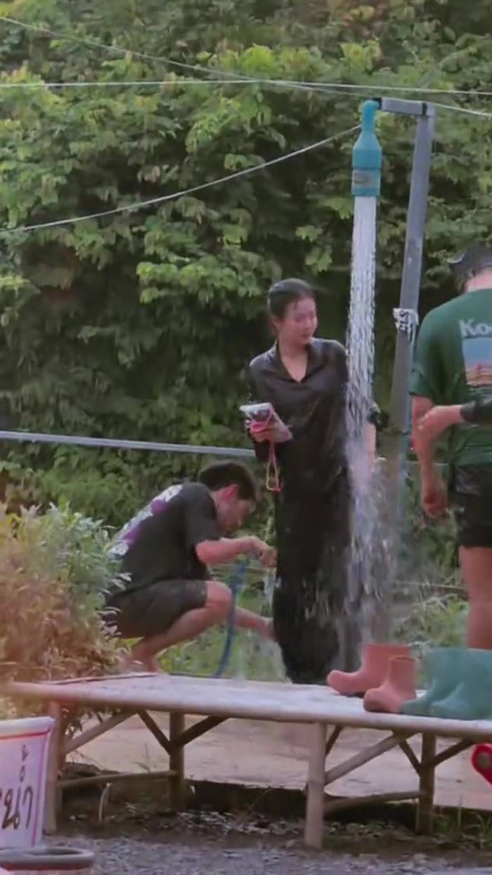 ลำไย ไหทองคำ 