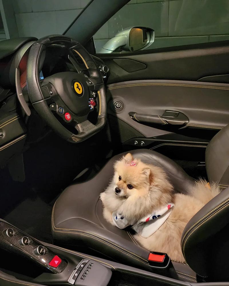 นิกกี้ ณฉัตร