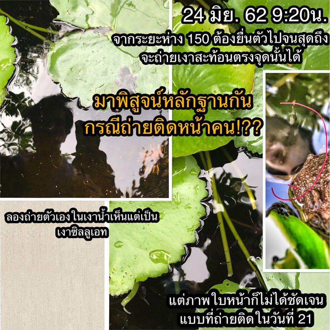 เอ พศิน