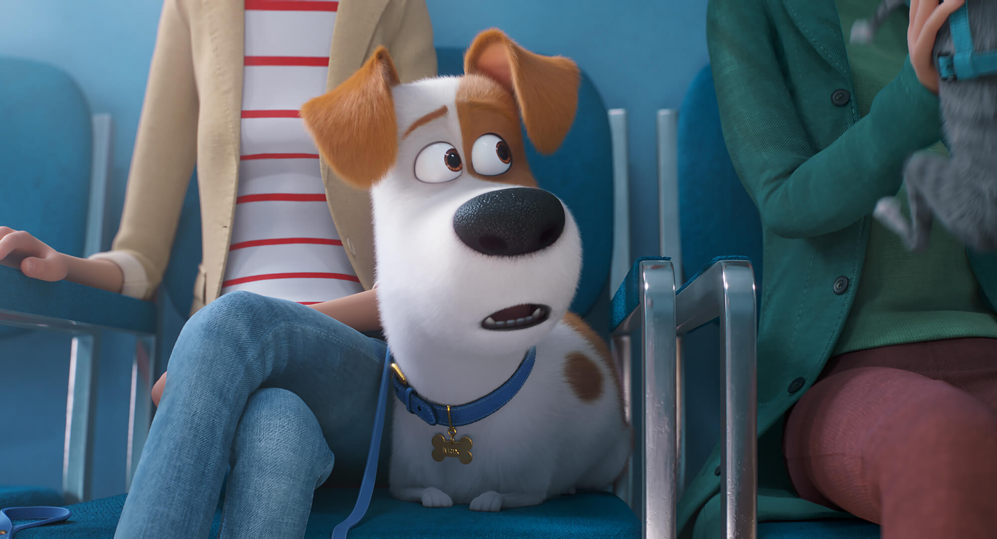 อัลบั้มภาพ หนัง The Secret Life of Pets 2 เรื่องลับแก๊งขนฟู 2