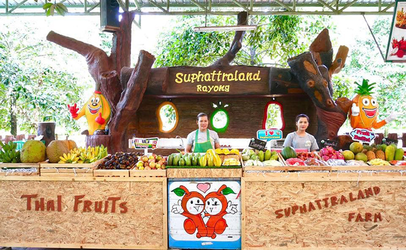 สวนผลไม้