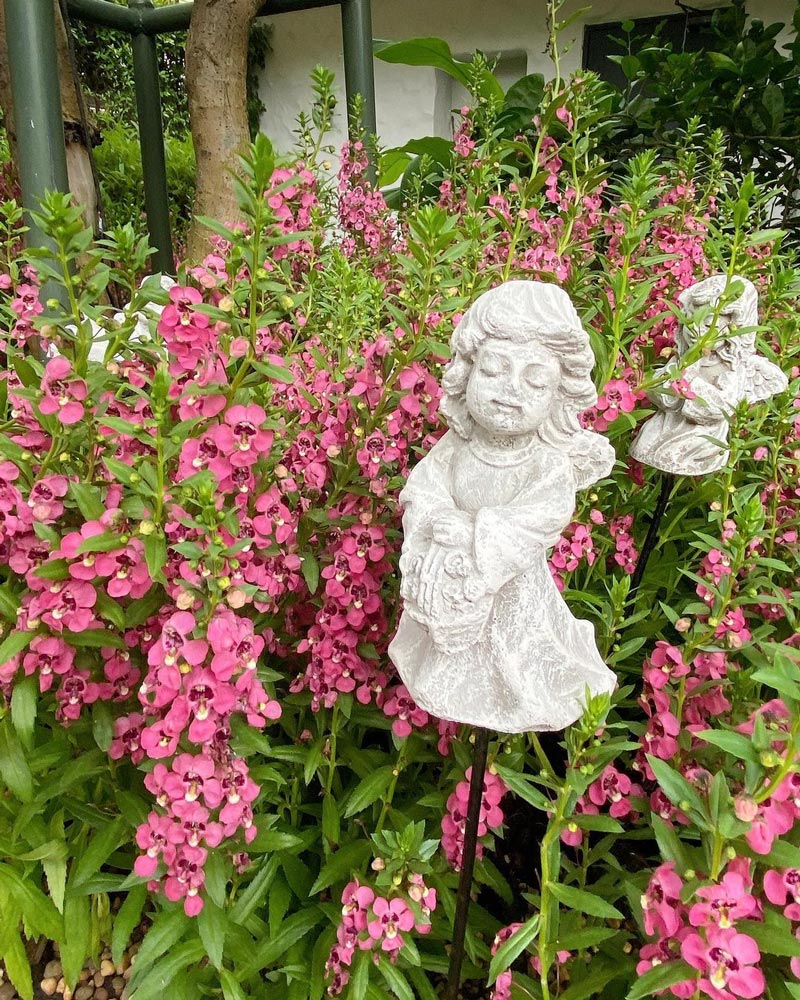 เอมี่ ซี