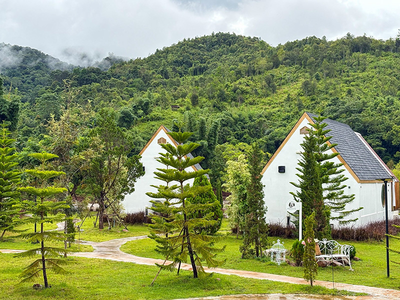 ที่พักหน้าหนาว 2568 นวนิยาย