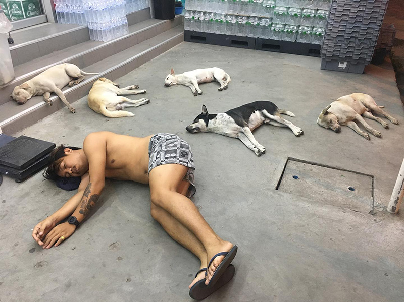 แจ็ก แปปโฮ