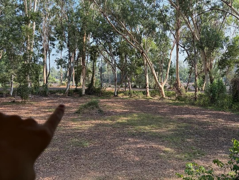 ปอย ตรีชฎา รีโนเวทบ้าน