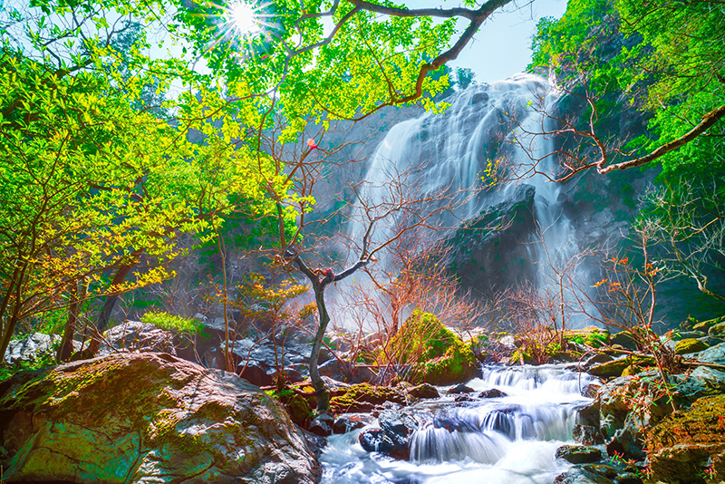 น้ำตกคลองลาน ที่เที่ยวเดือนมีนาคม 2569