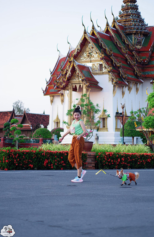 งานอยากวิ่งกับหมา 
