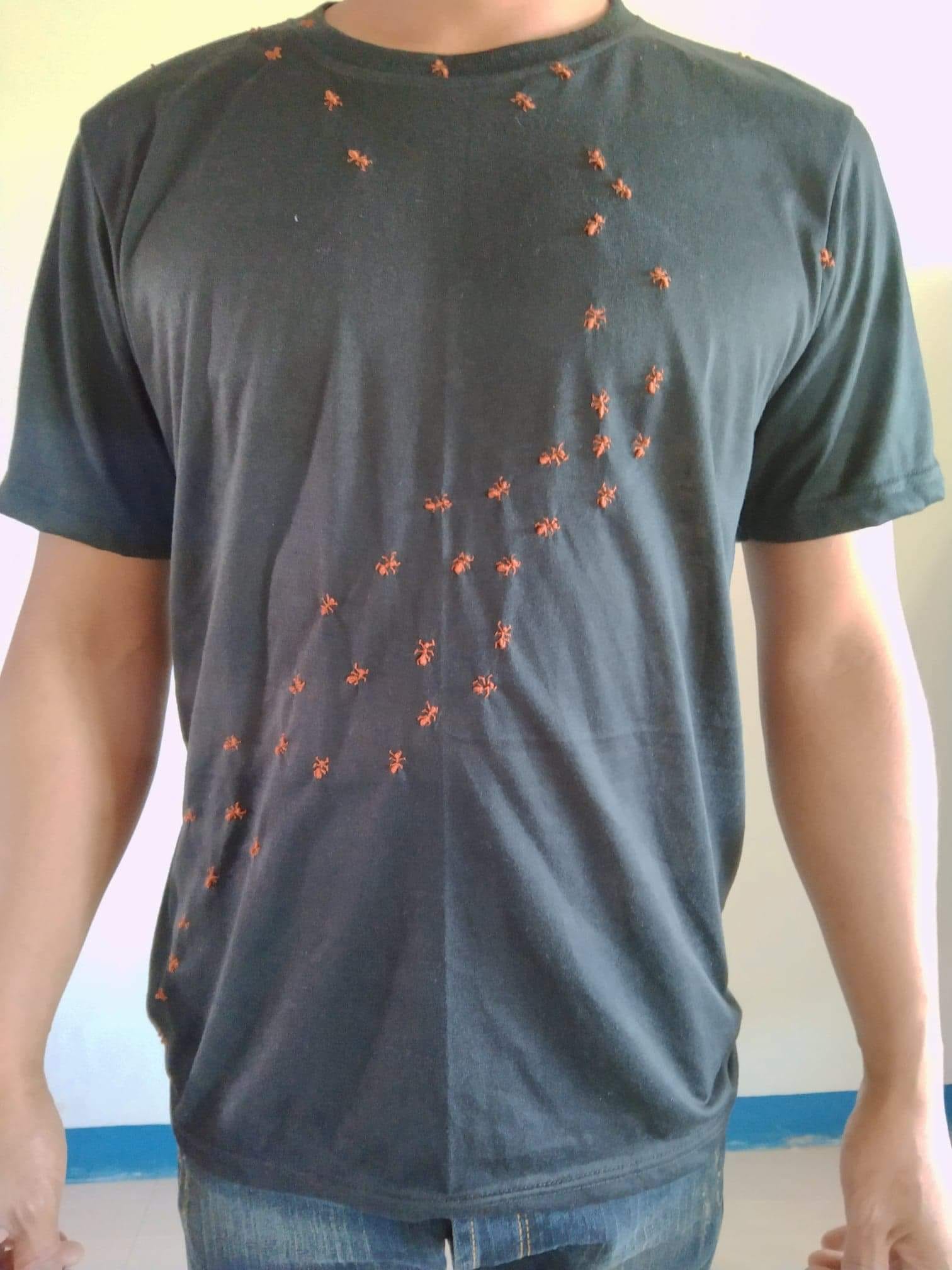 มดขึ้นเสื้อ