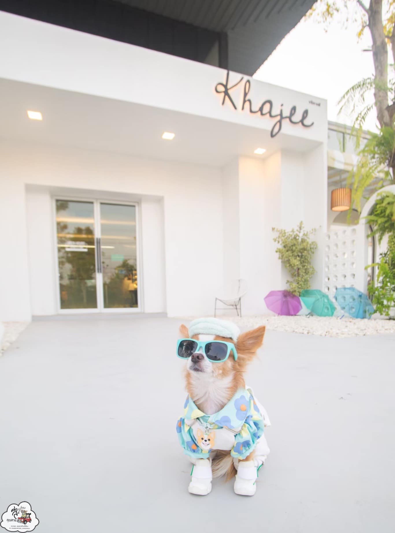 Khajee Cafe & Eatery