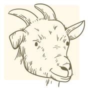 สีเล็บเสริมดวง