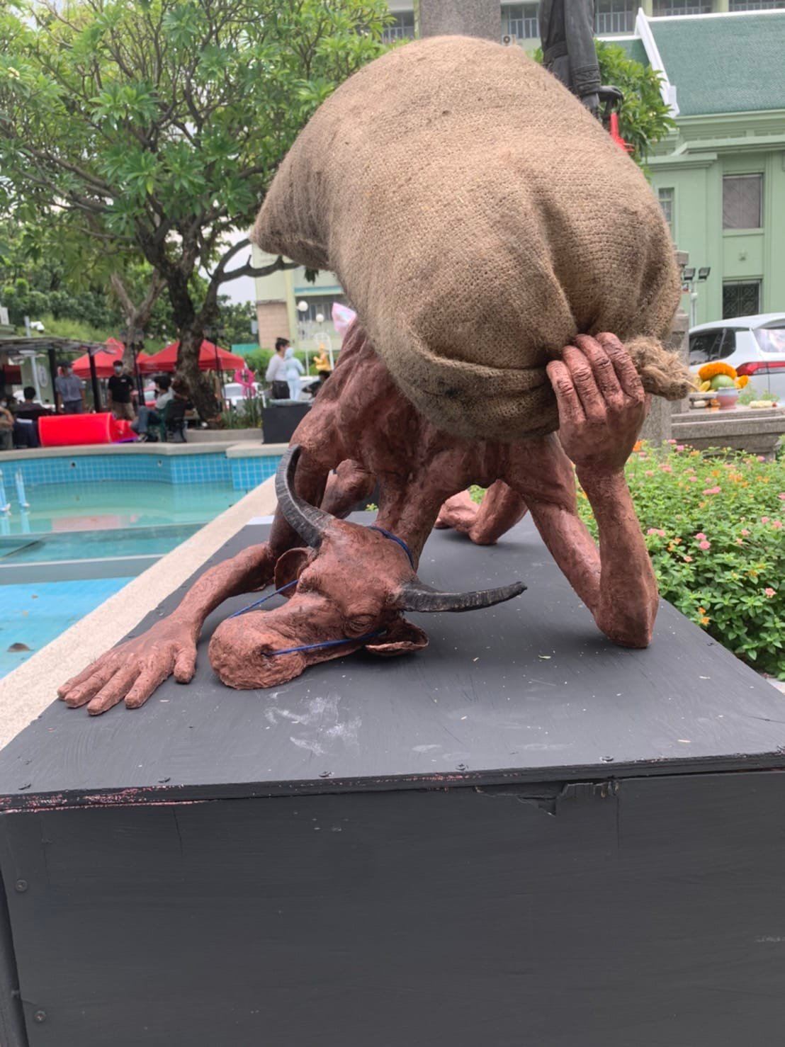 ควายผอม