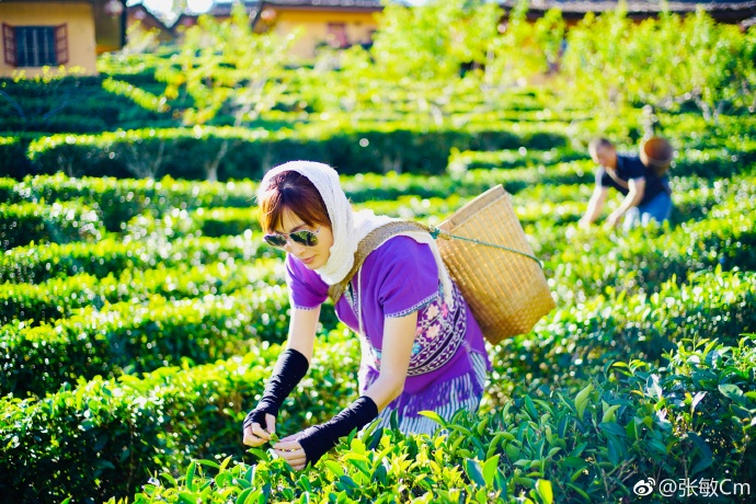 จางเหมี่ยน