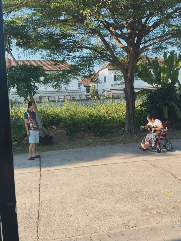 ใบเฟิร์น พิมพ์ชนก