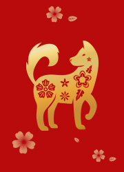 ปีจอ ฮวงจุ้ยบ้าน 2569