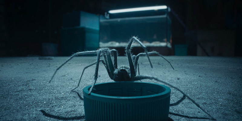 The Shrinking Man อัศจรรย์มนุษย์ย่อส่วน หนังใหม่ 2025 ภาพตัวอย่าง