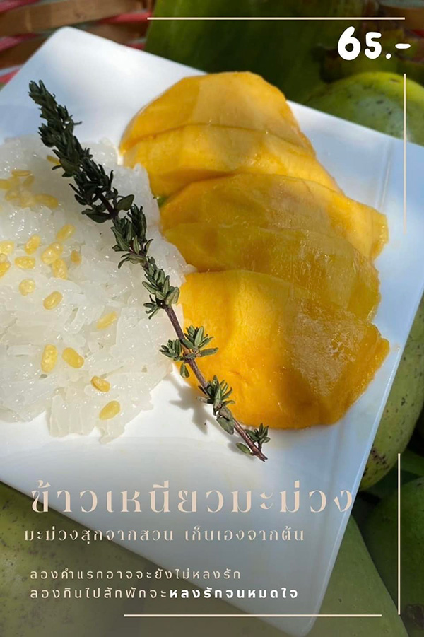 ไปสวน Slow Bar Cafe ข้าวเหนียวมะม่วง