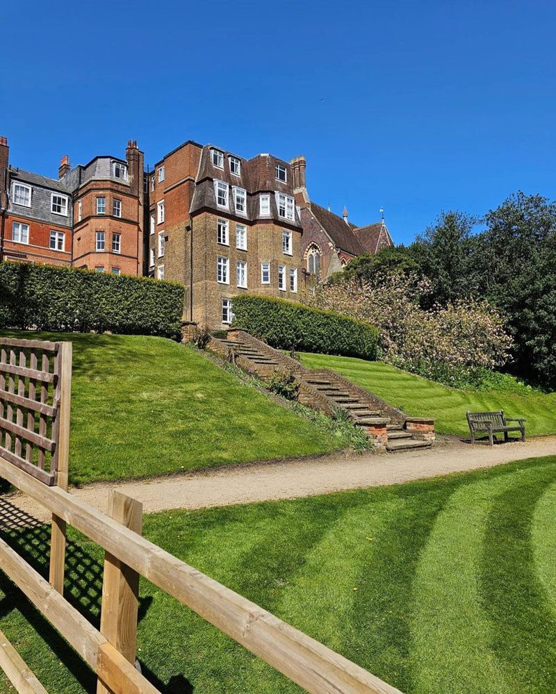 น้องสายฟ้า น้องพายุ