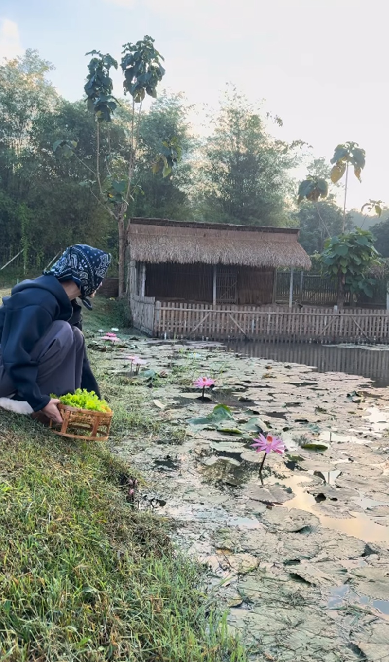 แอน ทองประสม