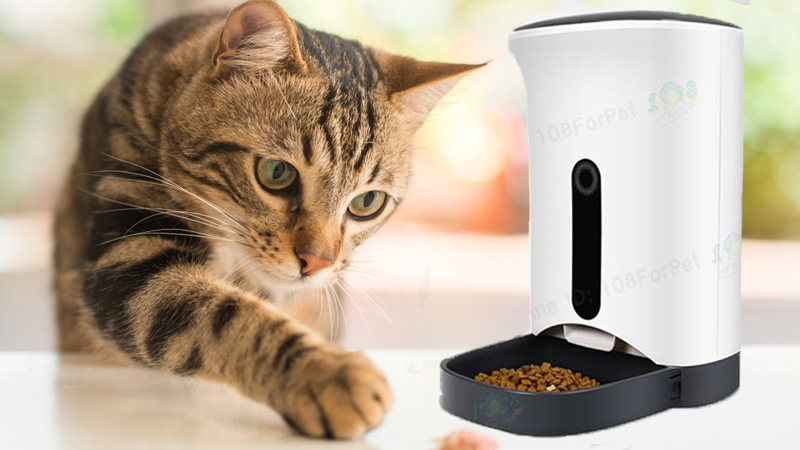 เครื่องให้อาหารแมวอัตโนมัติ