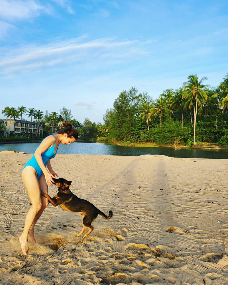 คริส หอวัง 