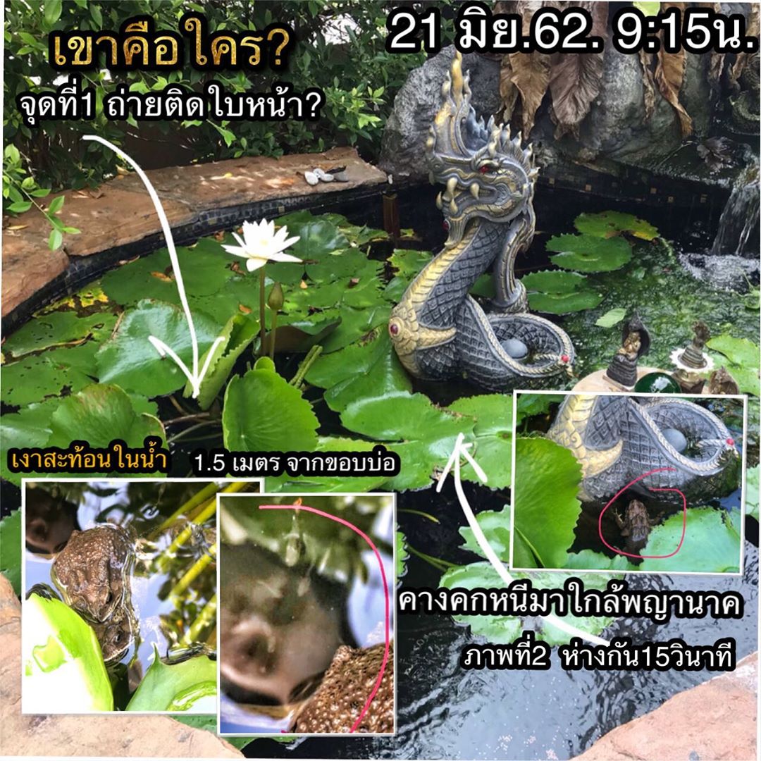 เอ พศิน