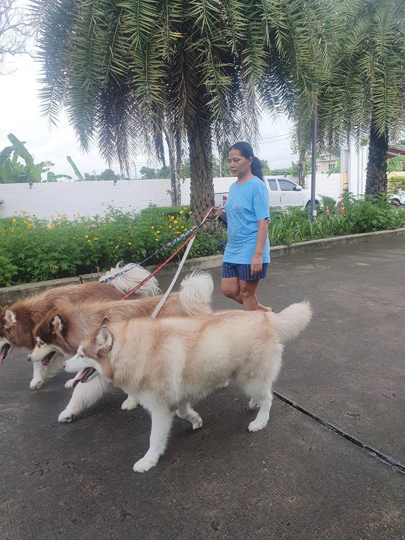 สุนารี พาหมาไปเดินเล่น แต่เจอแซะอวดรวย