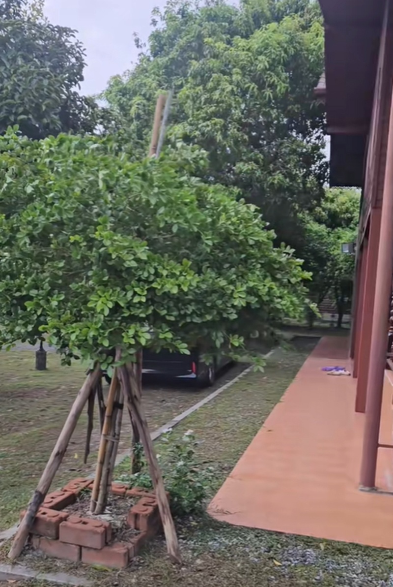 บ้านเท่ง เถิดเทิง