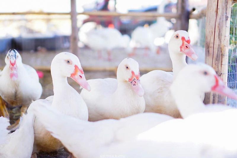 เที่ยวรังนกแลนด์ by นกแปดริ้ว จ.ฉะเชิงเทรา