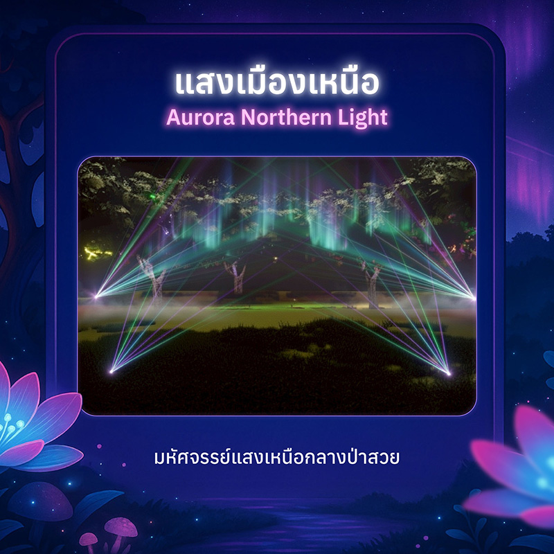 Lampang Orchid & Aurora Festival
