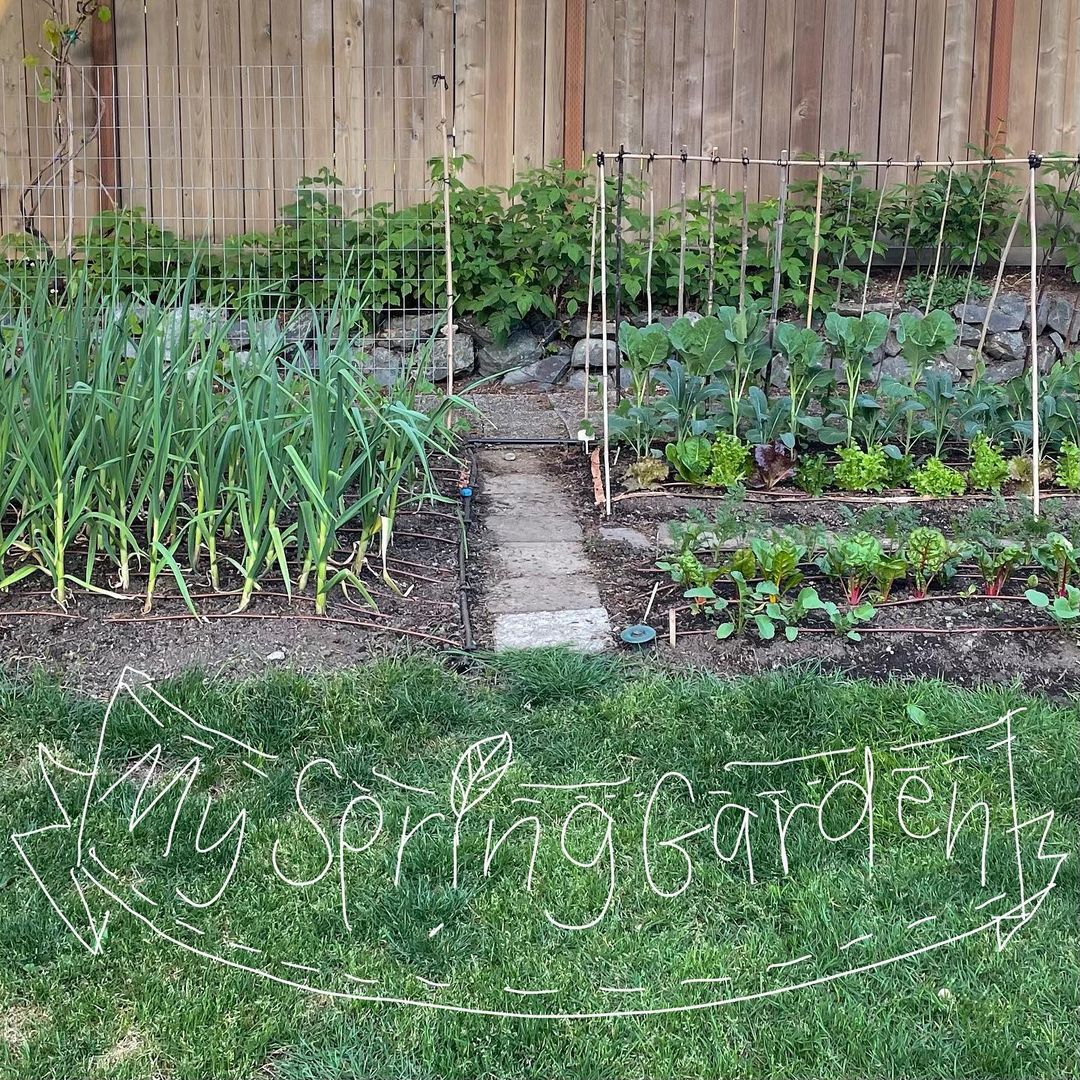 อุ้ม สิริยากร