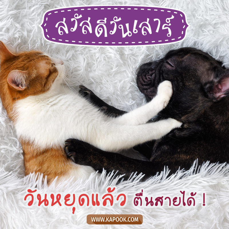 รูปสวัสดีวันเสาร์ วันหยุดแล้ว ตื่นสายได้