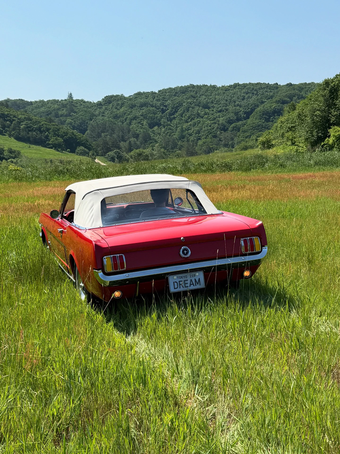 ภาพเบื้องหลัง MV DREAM ลิซ่า