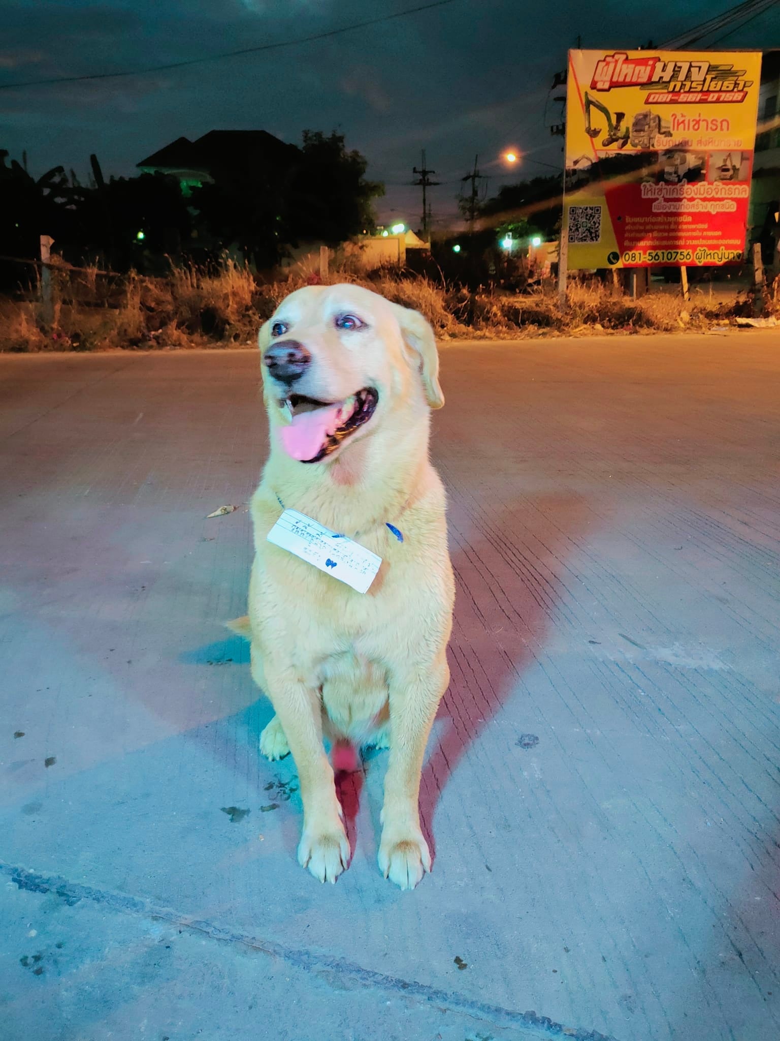 เซ็นต์ค่าไก่