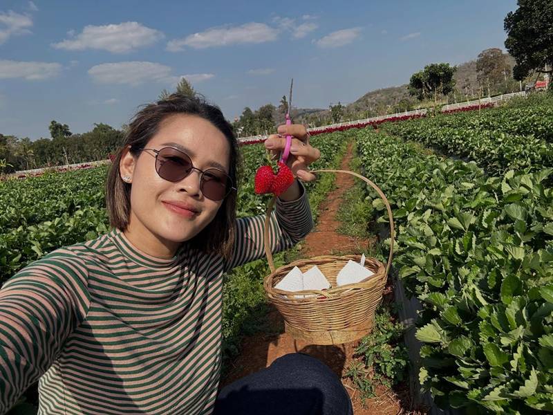 หนูเล็ก ก่อนบ่าย