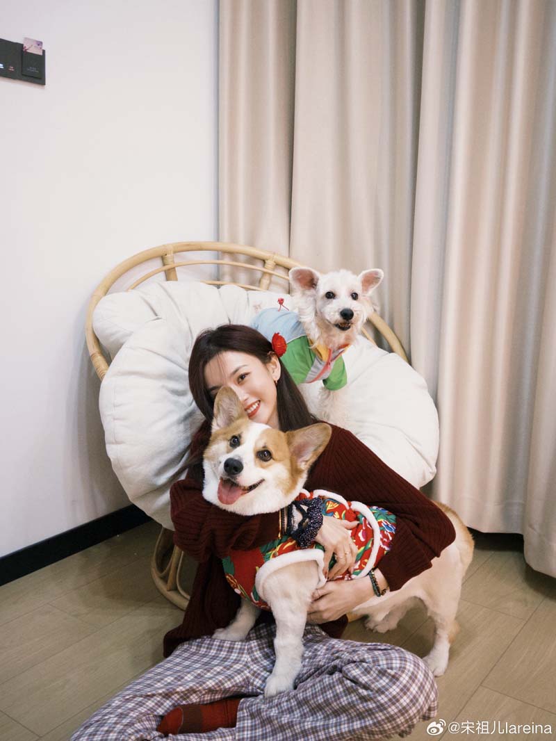 ซ่งจู่เอ๋อร์ ประวัติ song zu er