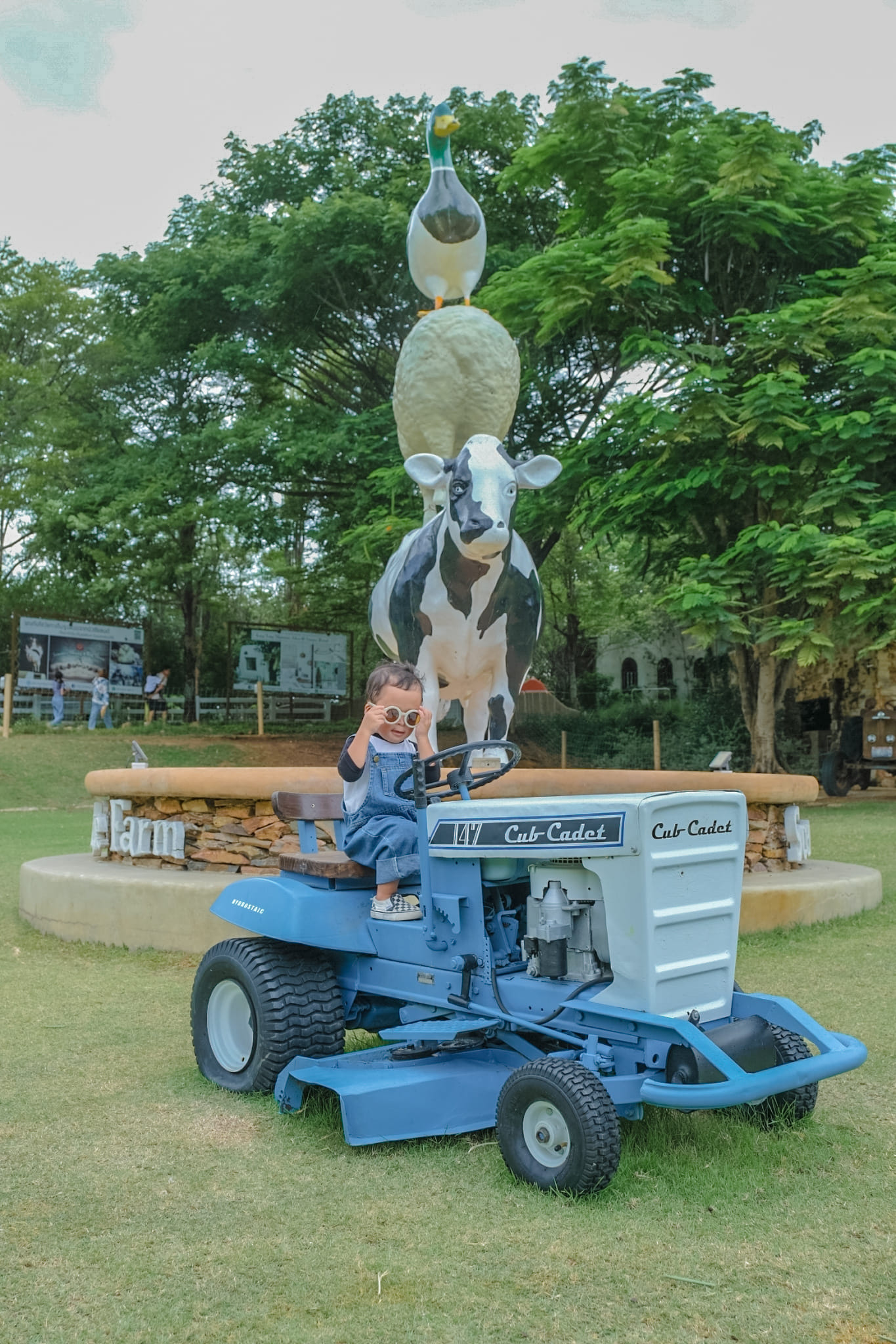 The Scenery Vintage Farm